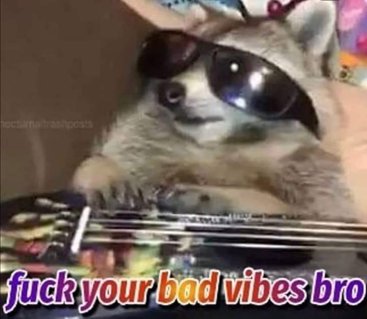 vibes.jpg