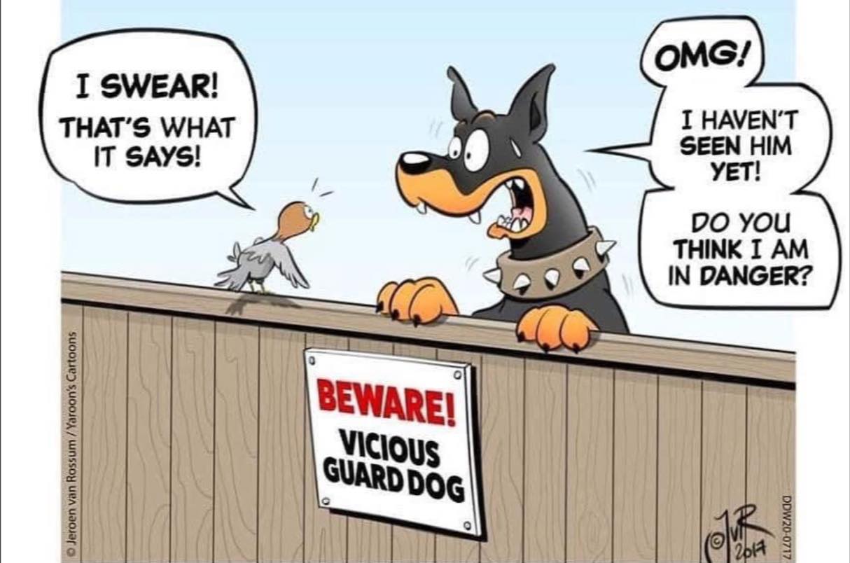 vicious dog.jpg