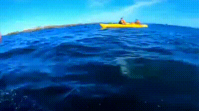 VID-20200913-WA0007.gif