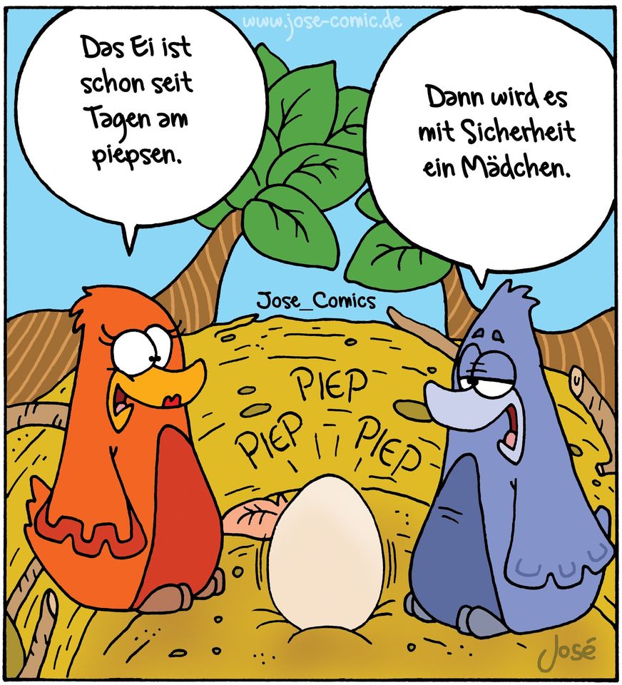 Vogel01.jpg