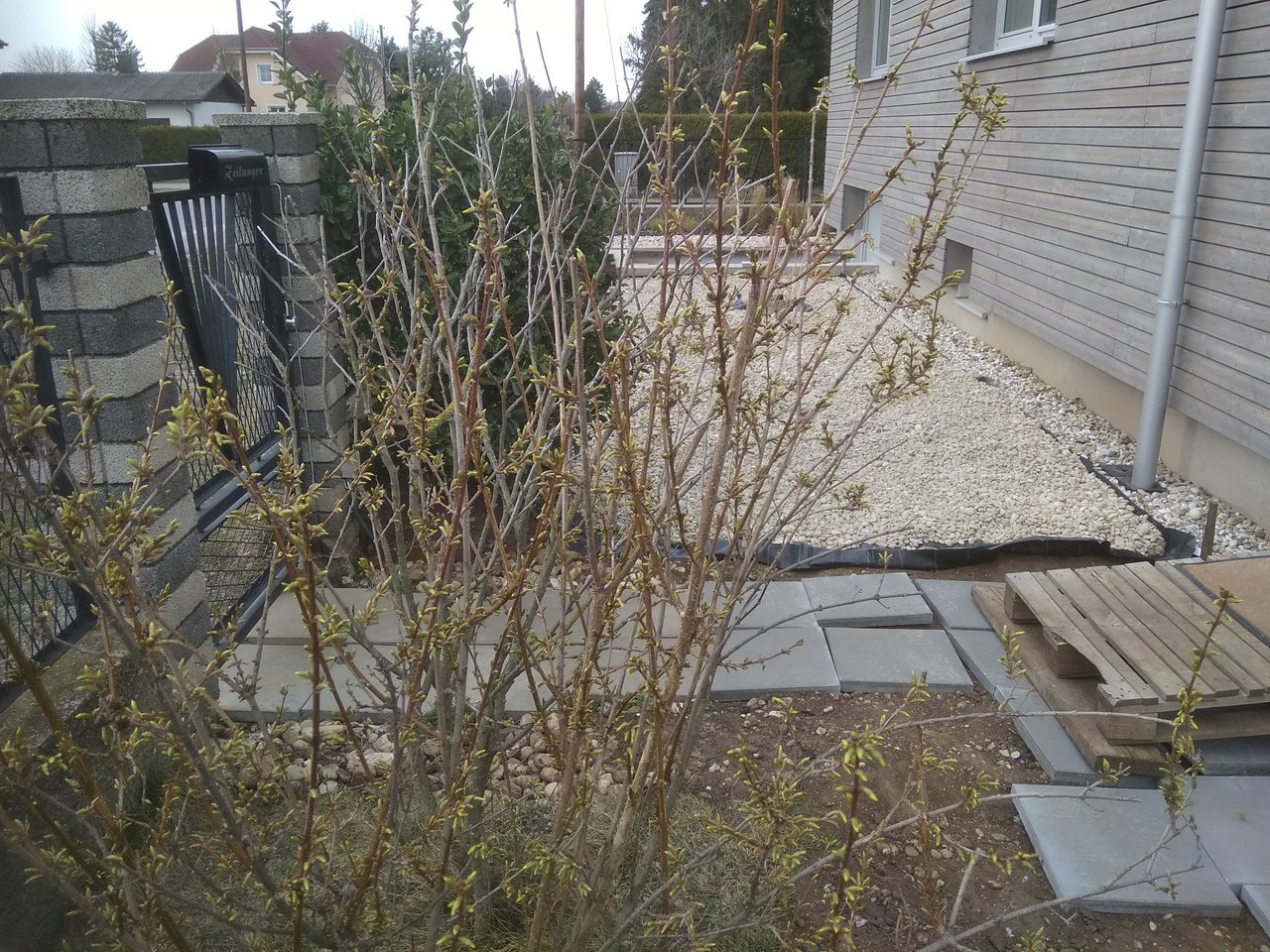 vorgarten1_steinbeet.jpg