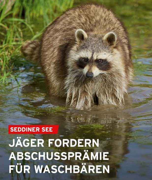 WaBä.jpeg