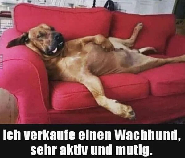 Wachhund.webp