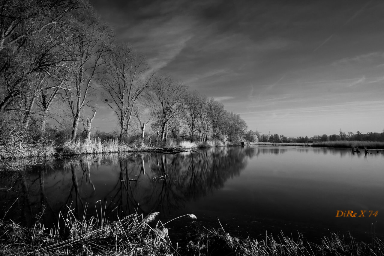 wagbach bw extreme.jpg