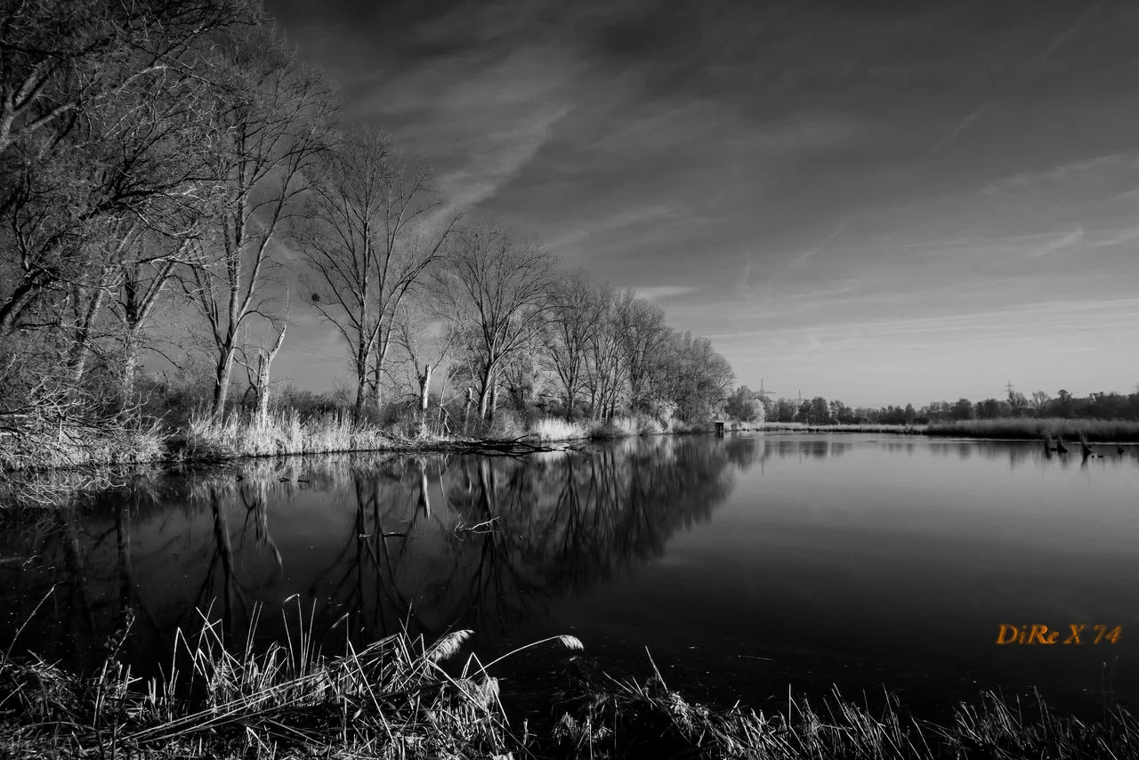 wagbach bw extreme.webp