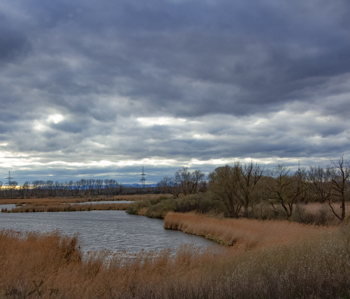 wagbach_10122019-2.jpg