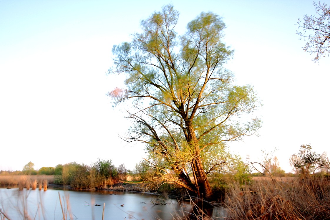 Wagbach_11042019_31_1.JPG