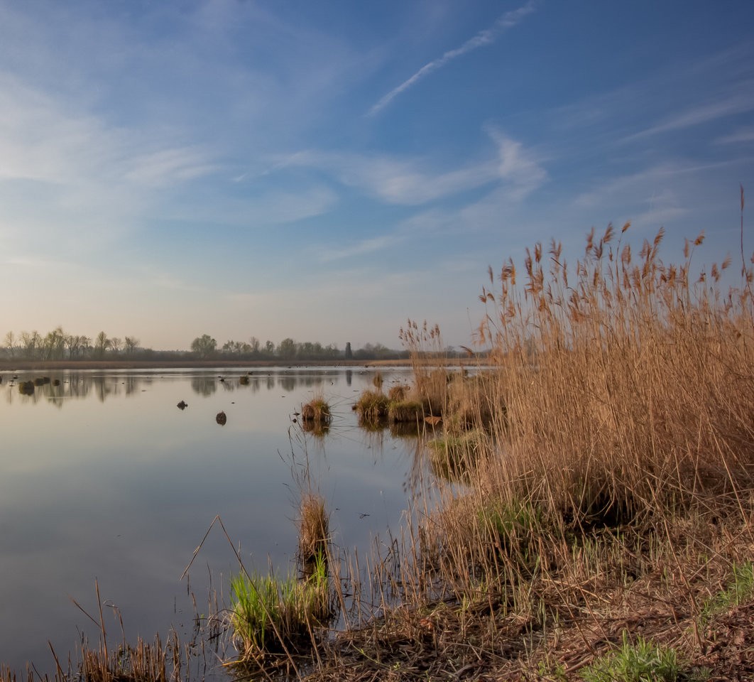 wagbach_13122019-3-2.jpg