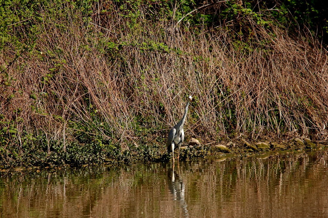 Wagbach_16042019_022.JPG