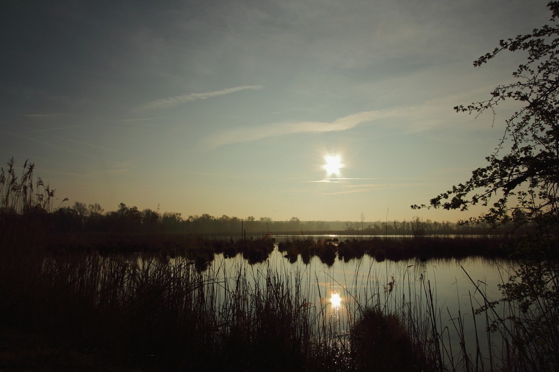 Wagbachniederung_06042019_Sonnenaufgang_22_1.JPG