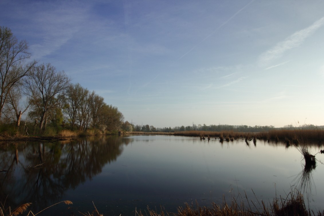 Wagbachniederung_06042019_Sonnenaufgang_32_1.JPG