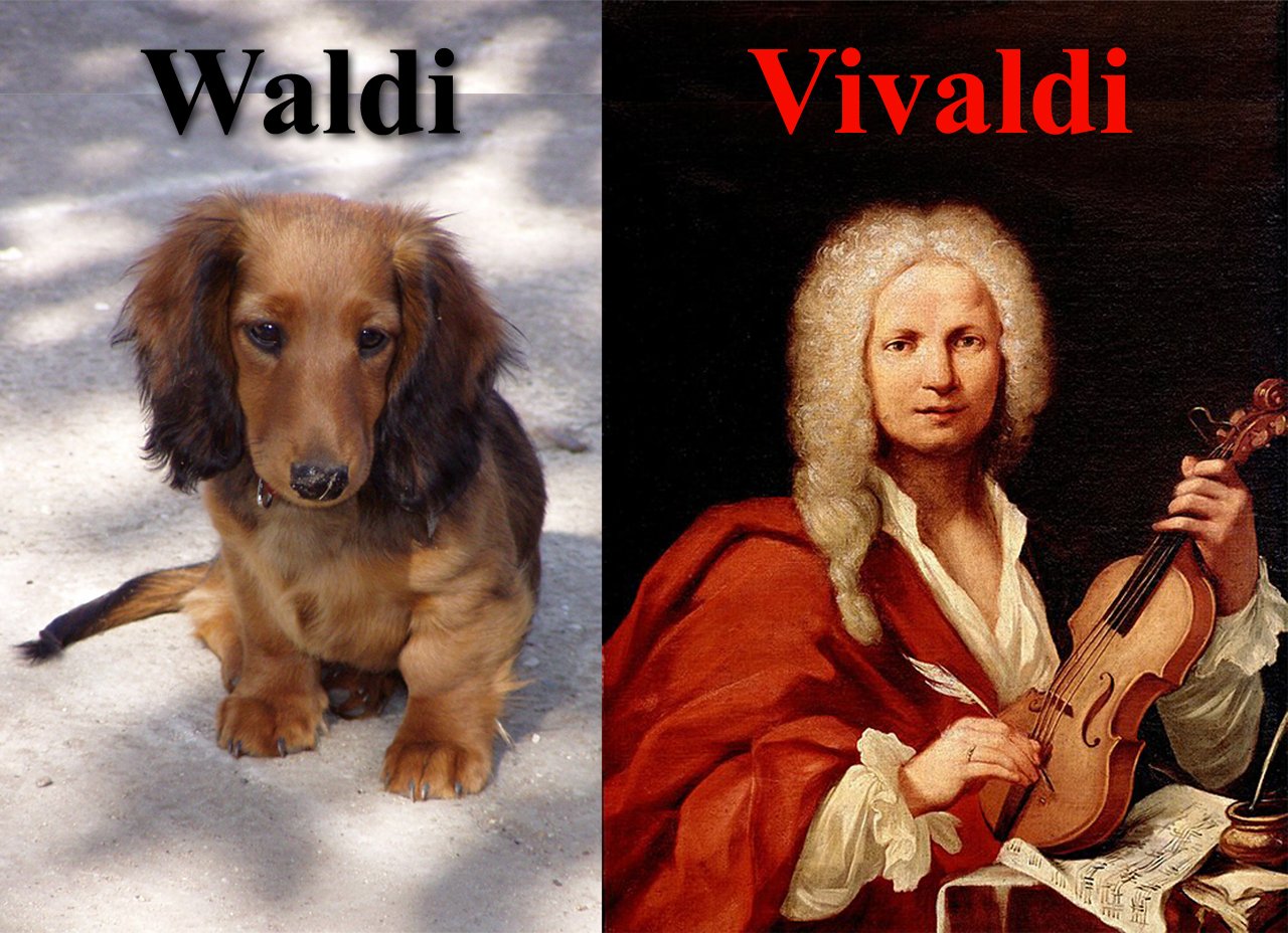 Waldi_Vivaldi35.jpg