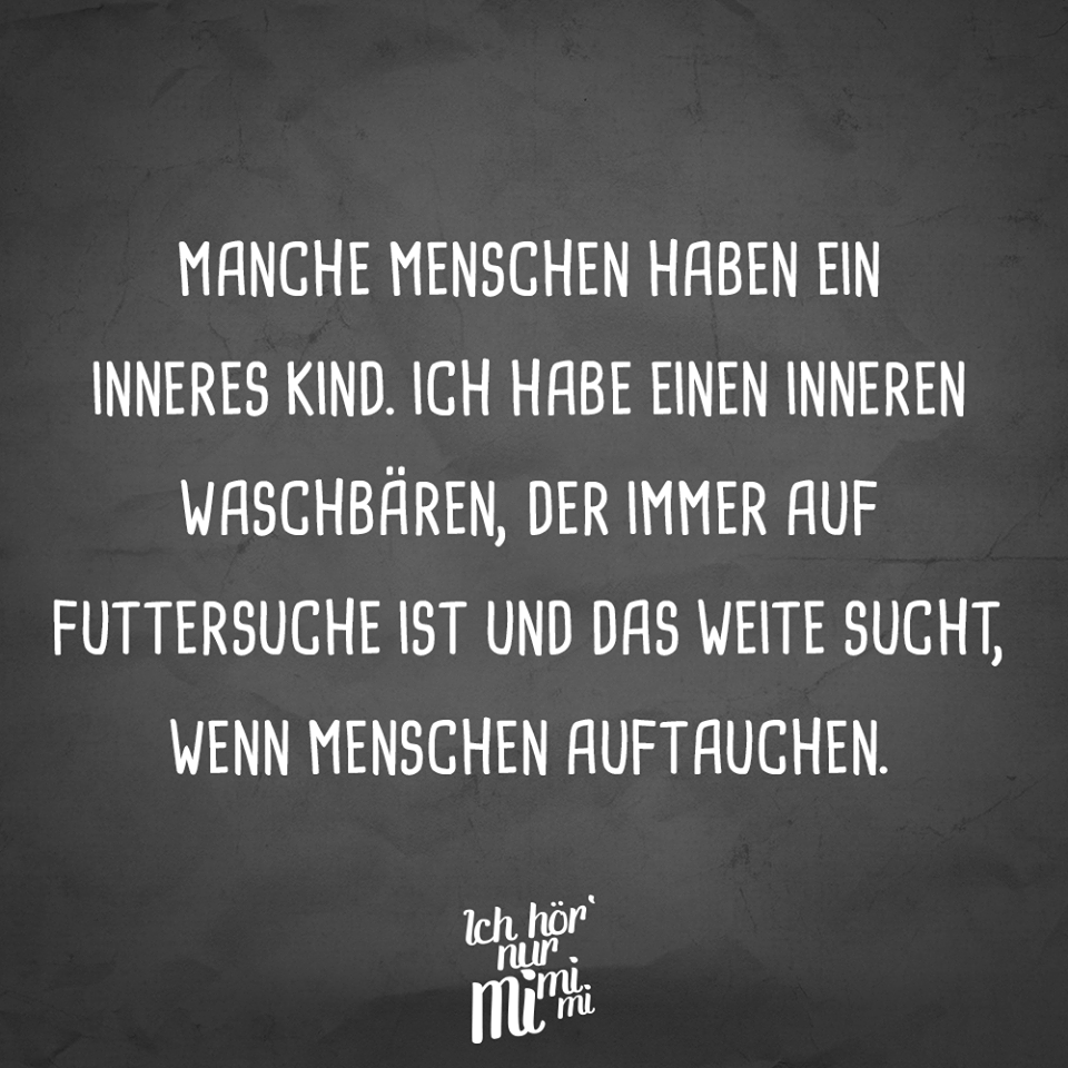 Waschbär.png