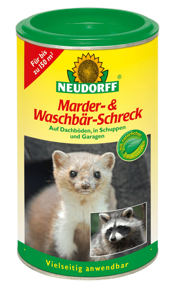 waschbär.png