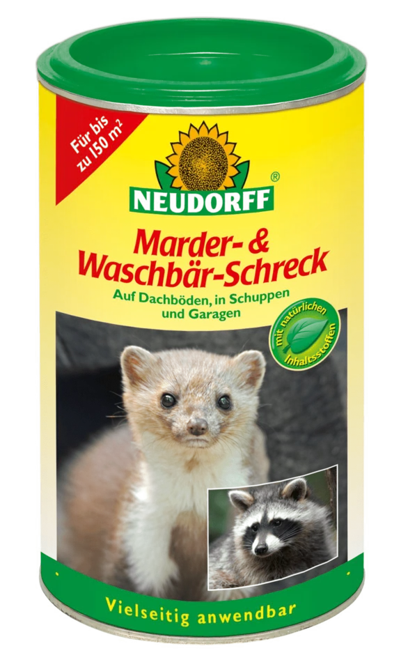 waschbär.webp