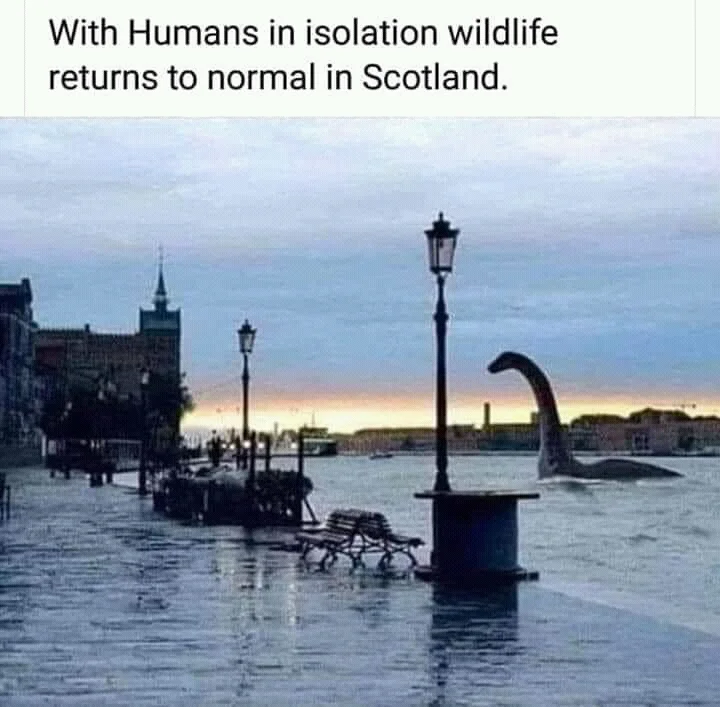 WhatsApp Image 2020-08-20 at 08.25.54.webp