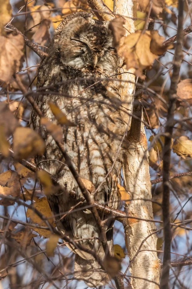 WhatsApp Image 2021-10-31 at 17.51.07.webp