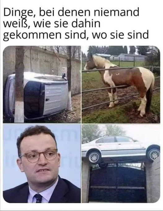 wiedahingekommen.webp