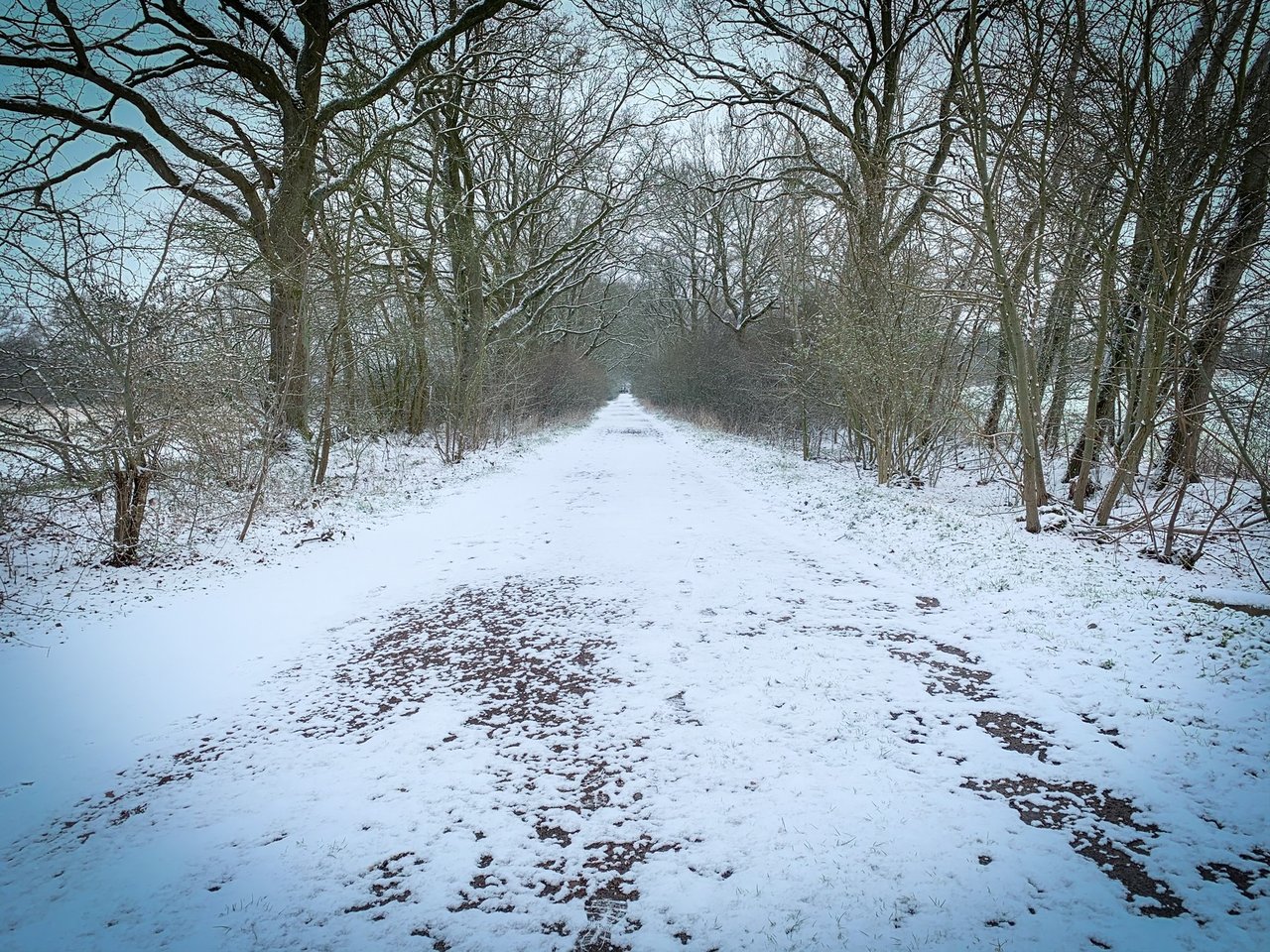 Winter1.jpg