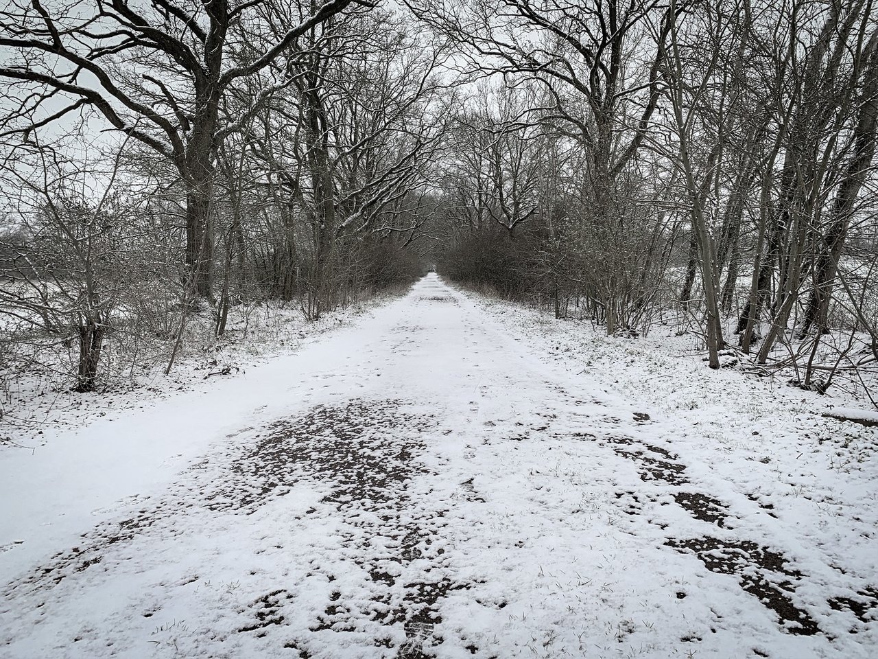 Winter4.jpg