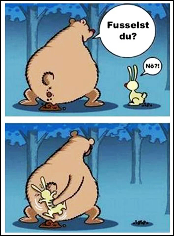 Witz Bär Hase129356_2.webp