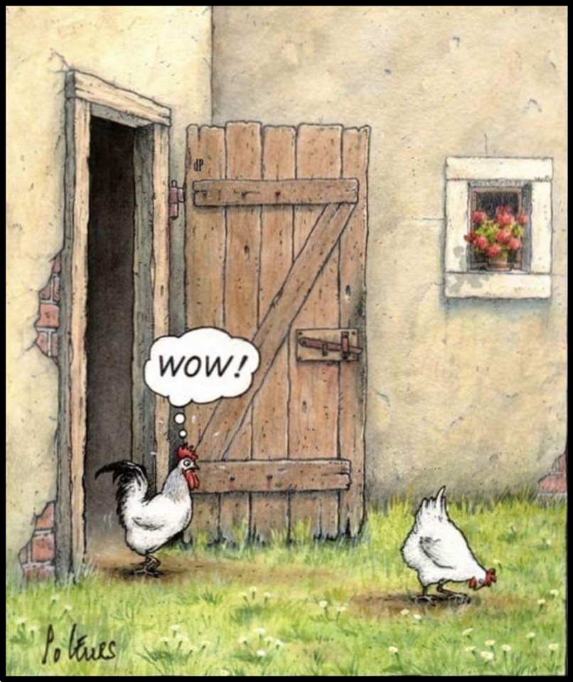 Witz Hühner61_2.jpg