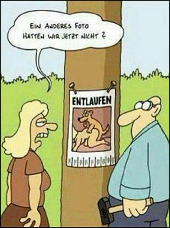 Witz Hund entlaufen_2.webp