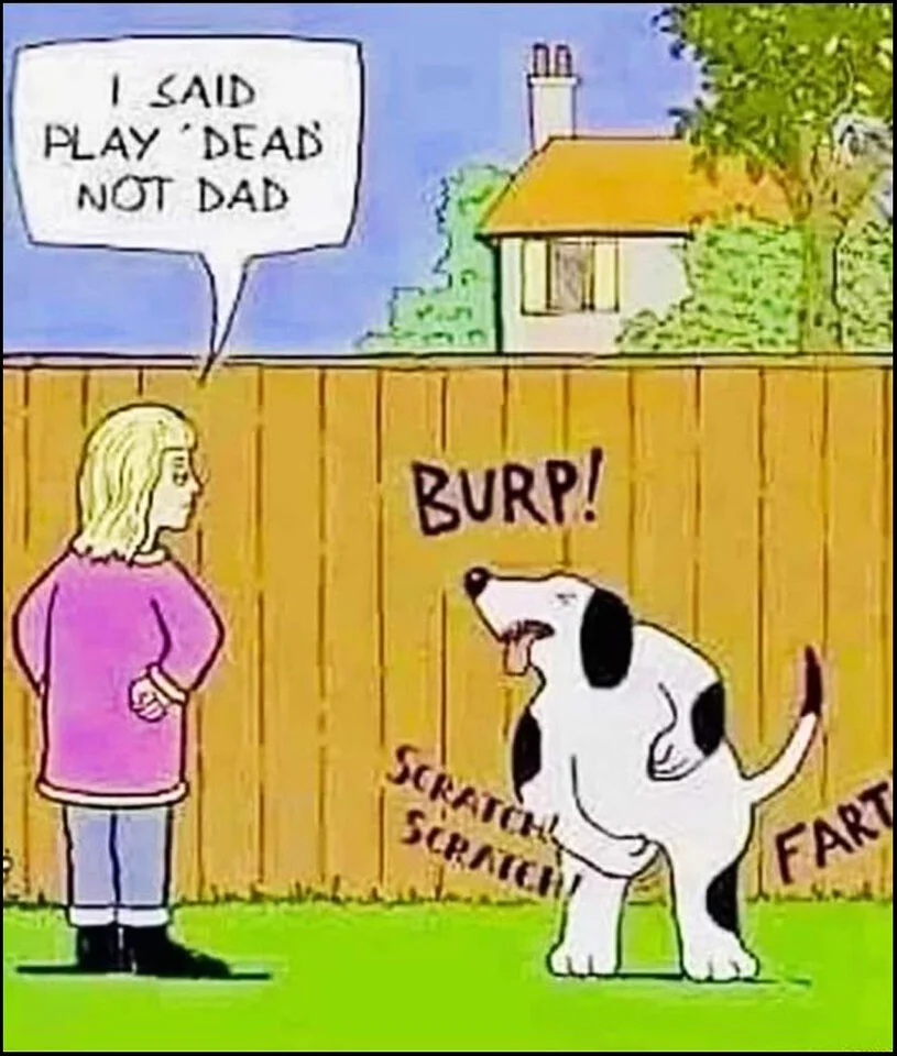 Witz Hundedressur_2.webp