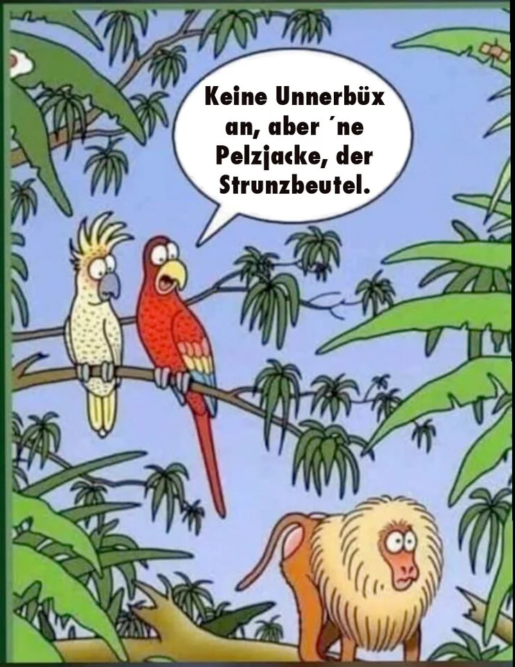 Witz Papagei Affe73.webp