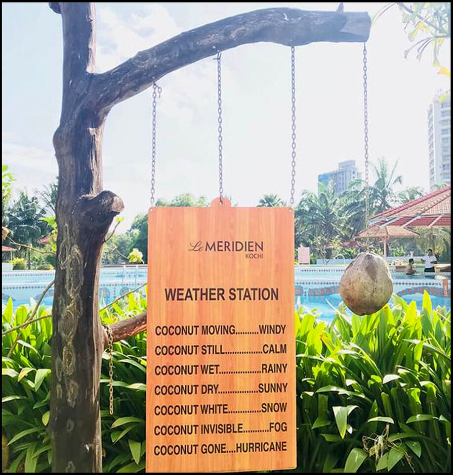 Witz Weather-Vane_2.jpg