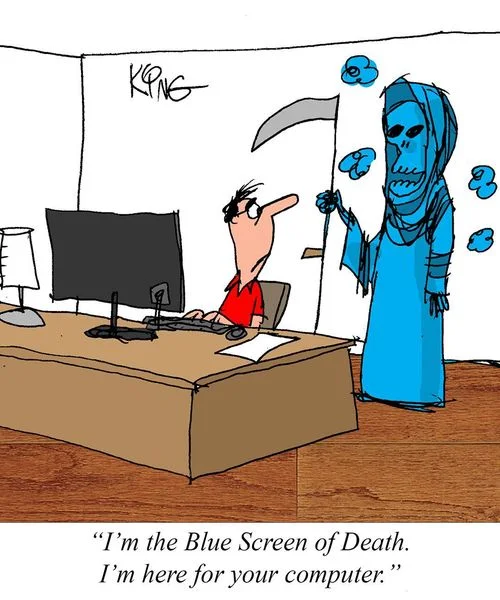 Witz_BlueScreenOfDeath.webp