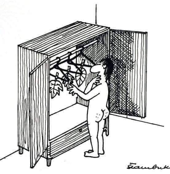 Witz_Feigenblatt.jpg
