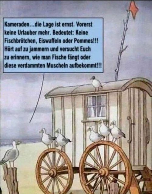 Witz_Möven_Lockdown.jpg