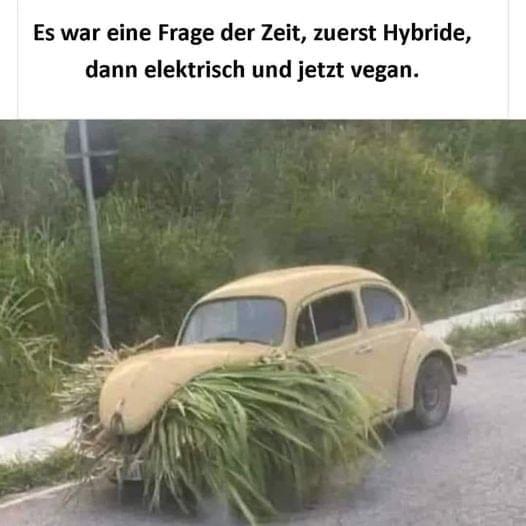 Witz_Veganes_Auto.jpg