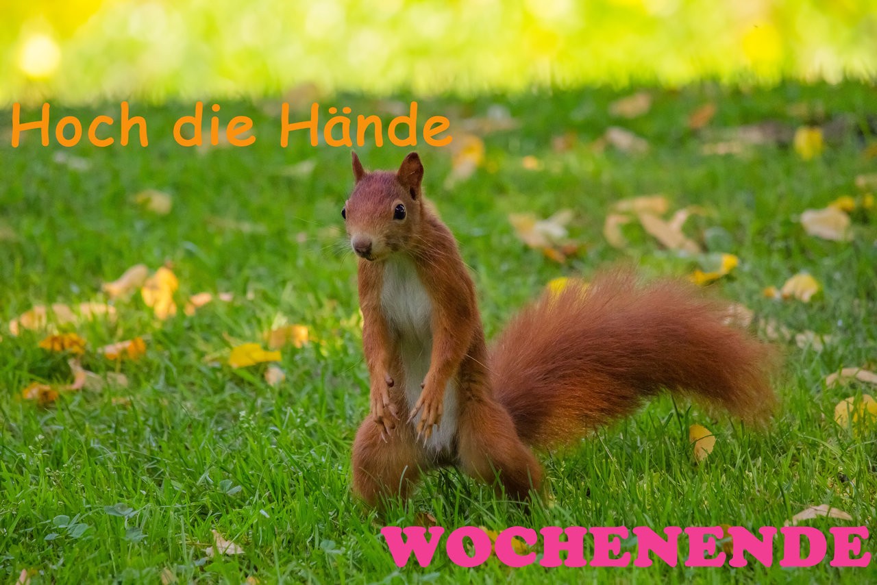 Wochenende.jpg