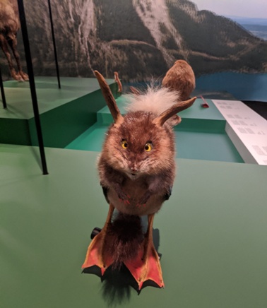 Wolpertinger--Haus_der_Bayrischen_Geschichte.jpg