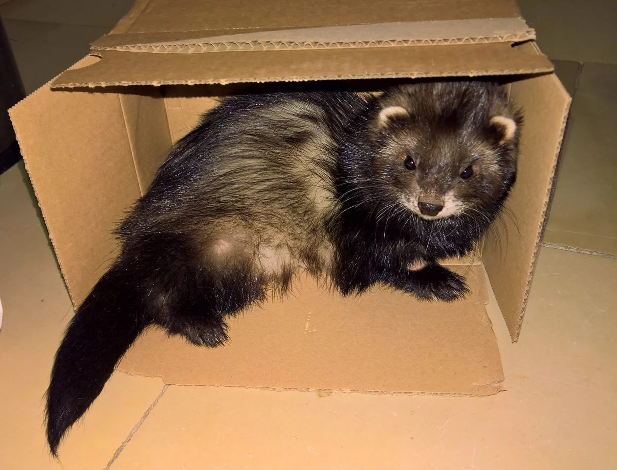 WP_20220413_21_13_08_Pro (2).webp