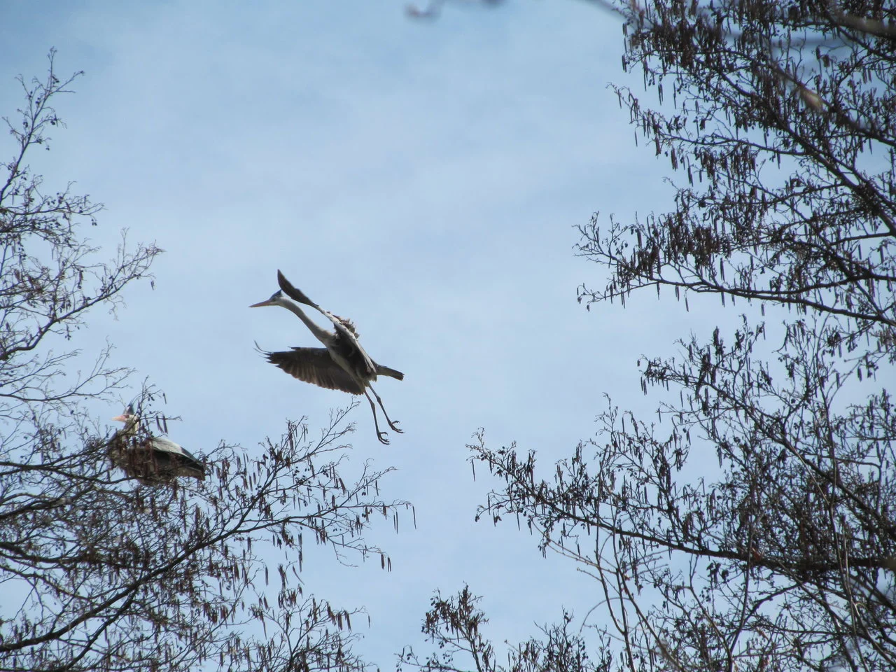 WP_LU_31032018 (26).webp