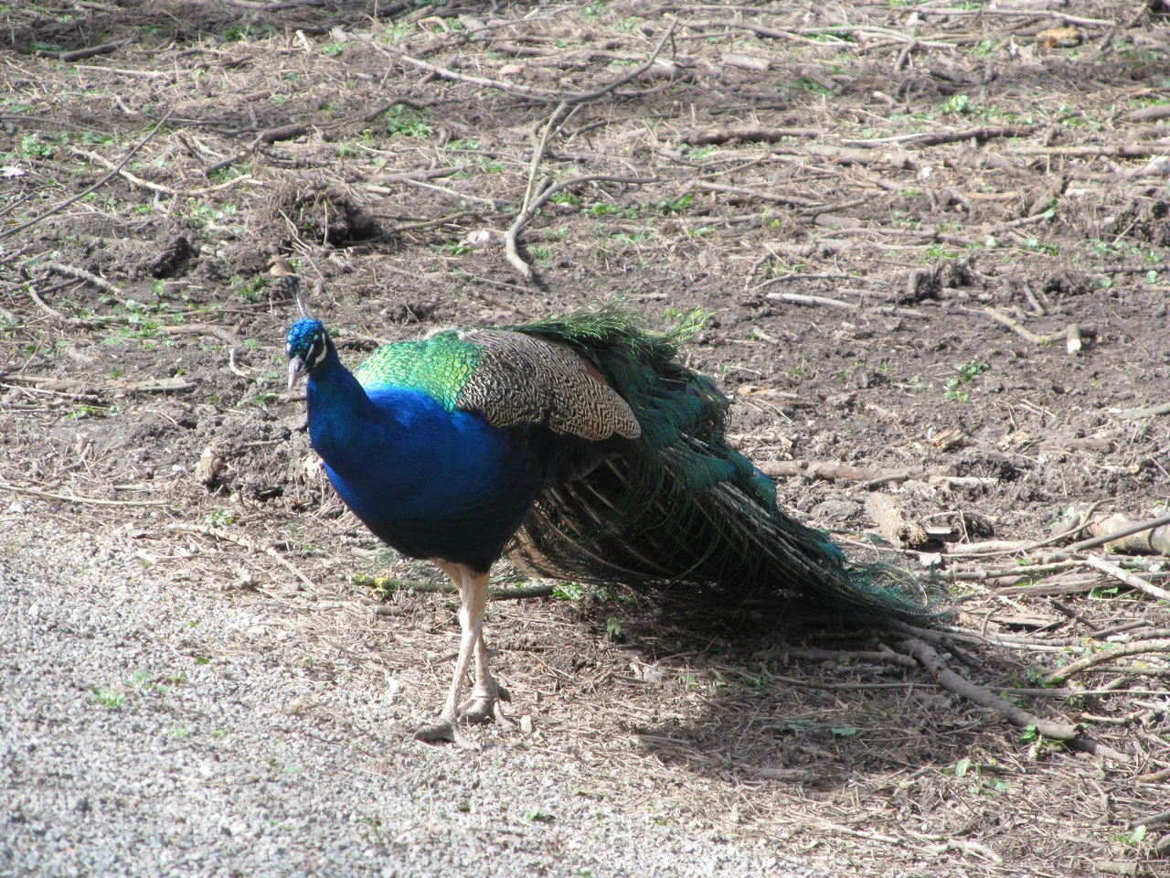 WP_LU_31032018 (36).webp