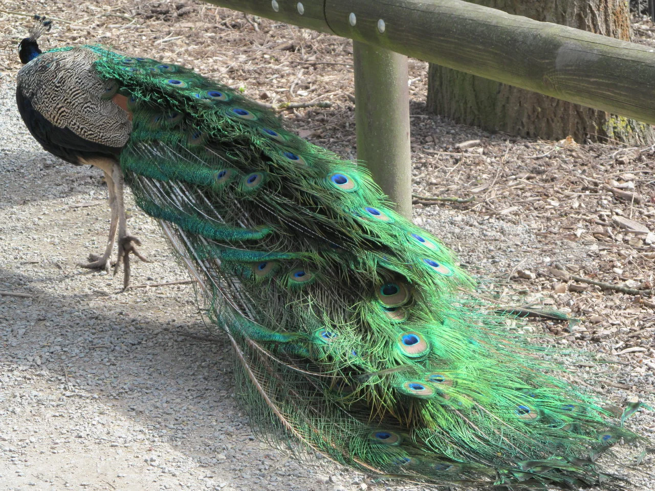 WP_LU_31032018 (37).webp