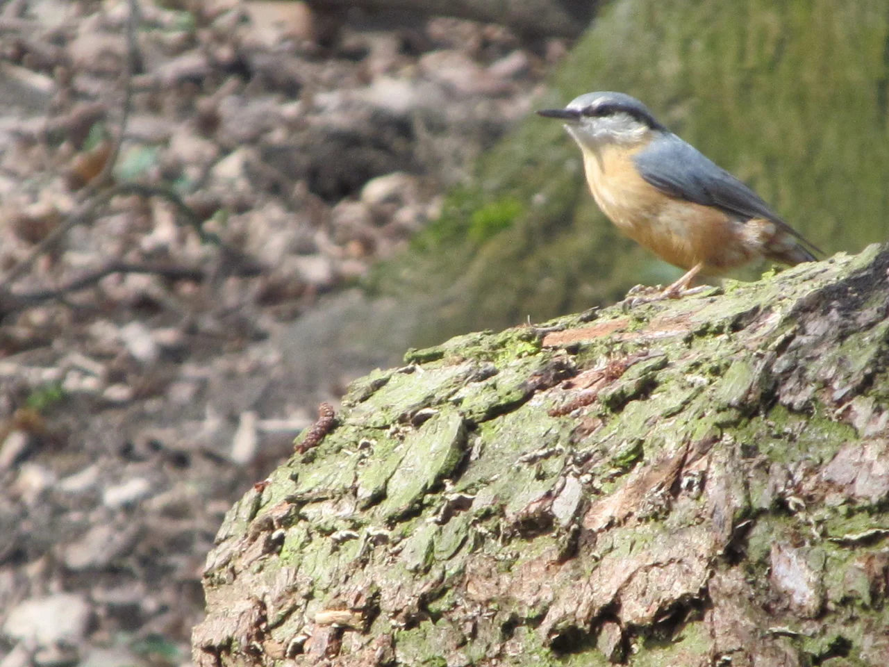 WP_LU_31032018 (44).webp