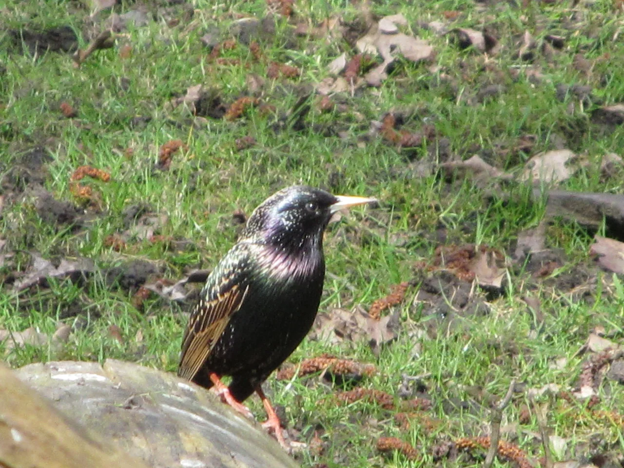 WP_LU_31032018 (53).webp