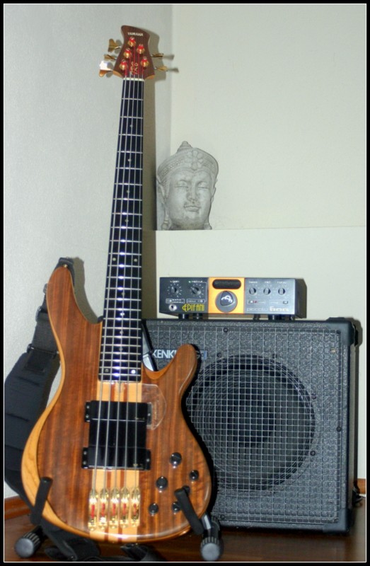 Yamaha Ovankol .JPG
