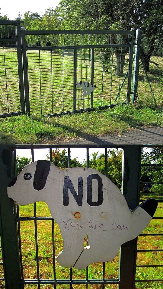 ywc3.jpg