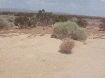 yXdG68.gif