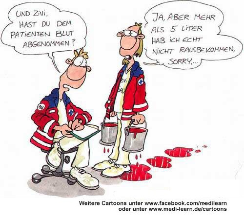zivisau.jpg