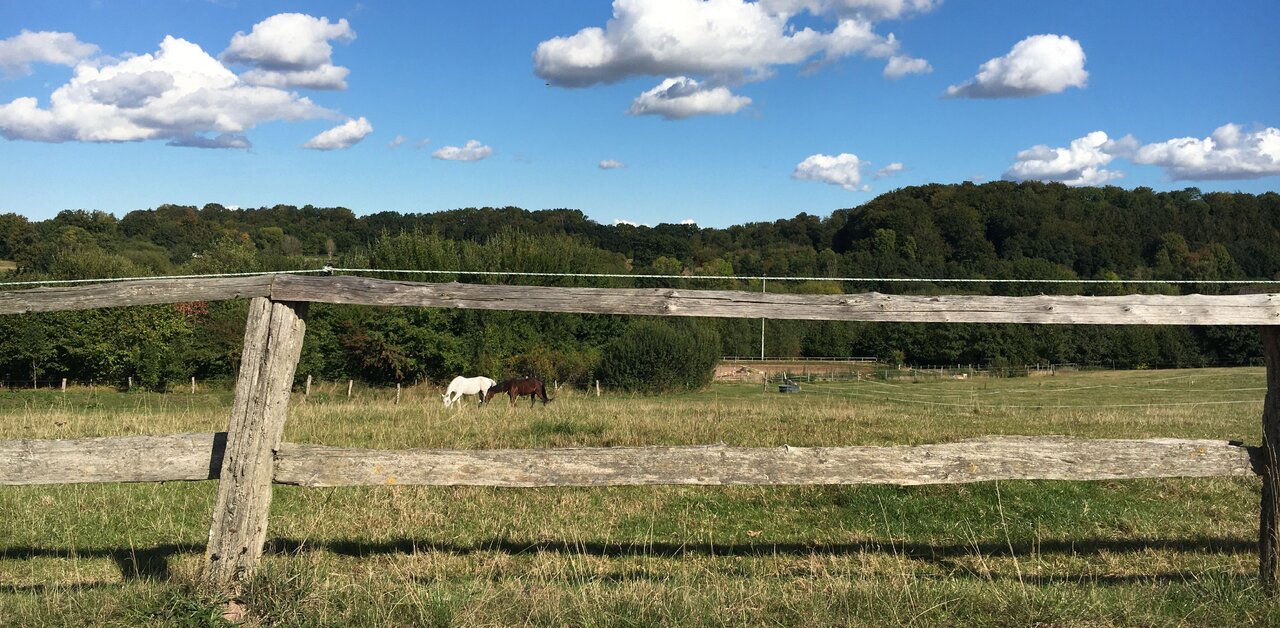 Zwischenablage0111.jpg