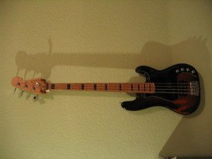 IMG_2337.JPG