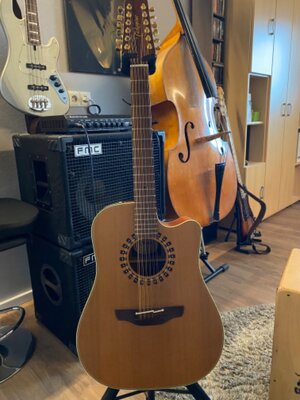 Takamine EN12C-12