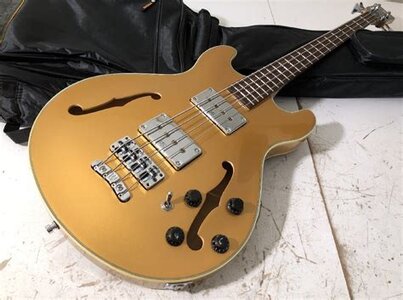 SUCHE: Warwick Rockbass Starbass